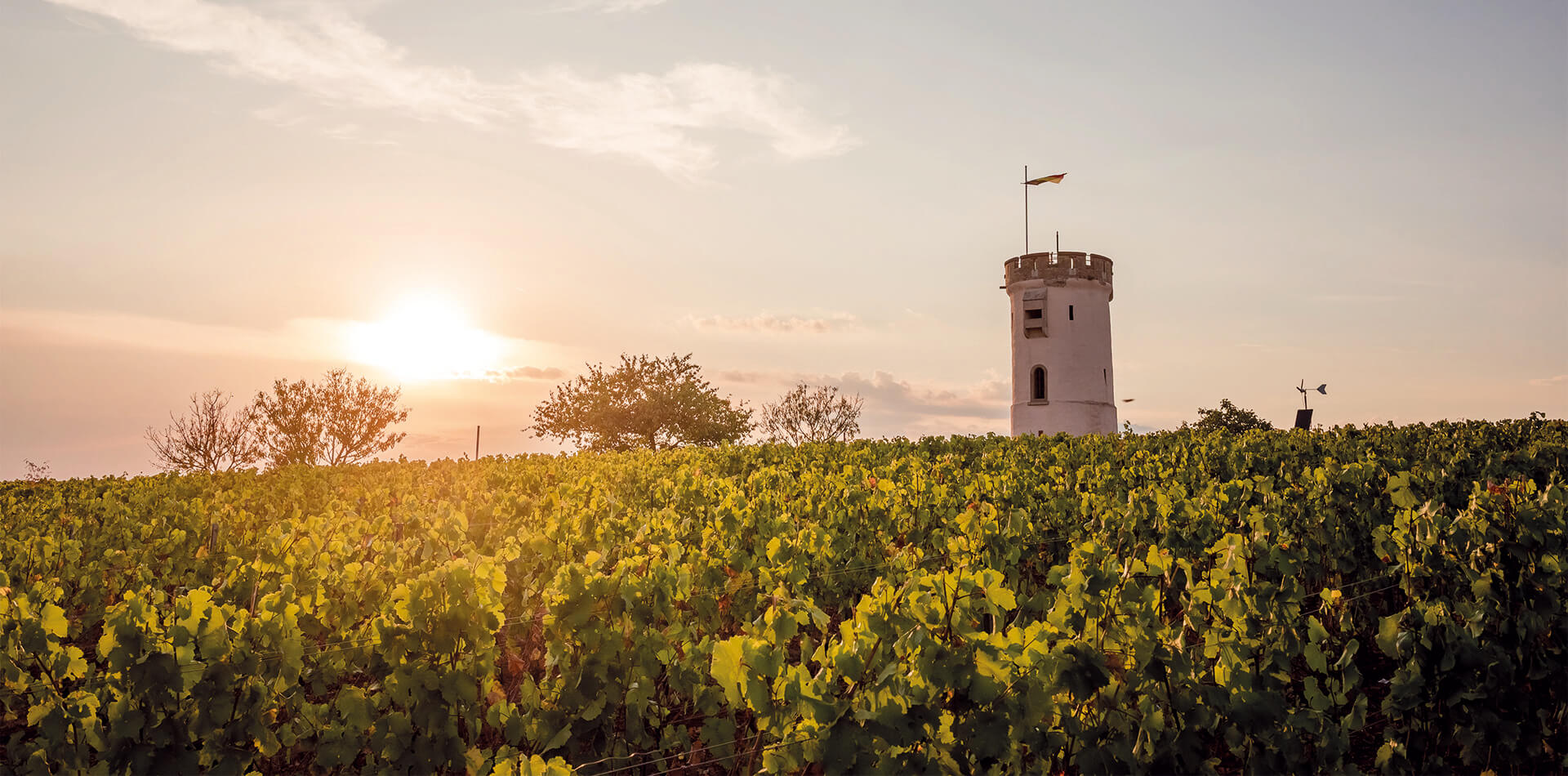 Drei-Türme-Wanderung • Wein vom Roten Hang e.V