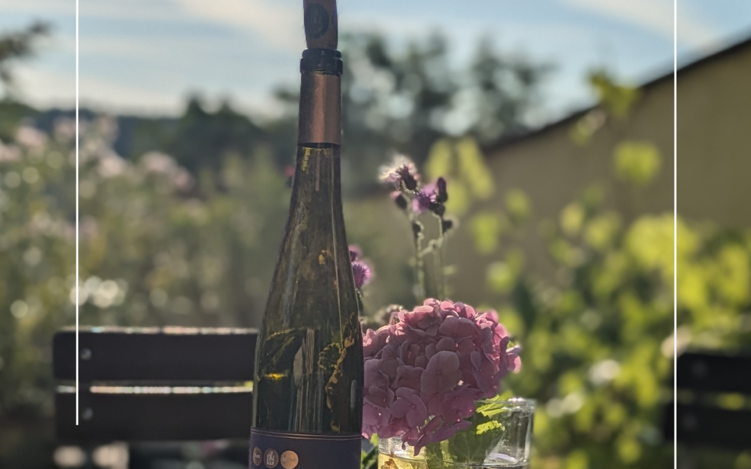 Sommerfest und Probiertag