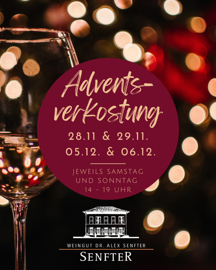 Adventsverkostung im Weingut Senfter